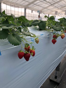 ビオスの丘に投稿された画像（2020/3/21）