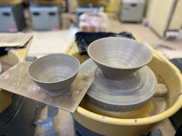 堀越陶房に投稿された画像（2020/3/21）