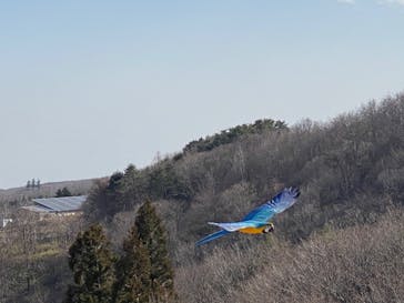 那須どうぶつ王国に投稿された画像（2020/3/21）