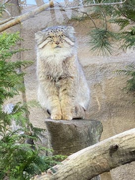 那須どうぶつ王国に投稿された画像（2020/3/21）