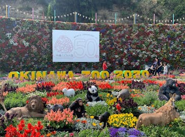 沖縄こどもの国に投稿された画像（2020/3/21）