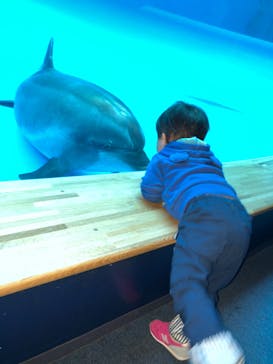 アクアワールド茨城県大洗水族館に投稿された画像（2020/3/21）