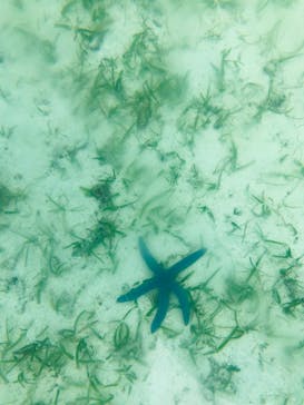 備瀬カヤックfukuに投稿された画像（2020/3/21）