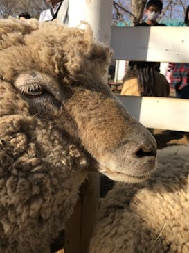 ふなばしアンデルセン公園に投稿された画像（2020/3/21）