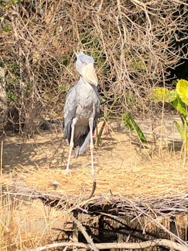神戸どうぶつ王国に投稿された画像（2020/3/21）