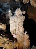 石垣島鍾乳洞に投稿された画像（2020/3/21）