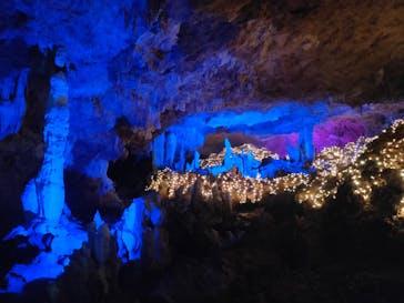 石垣島鍾乳洞に投稿された画像（2020/3/21）