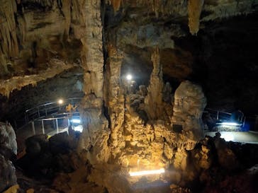 石垣島鍾乳洞に投稿された画像（2020/3/21）