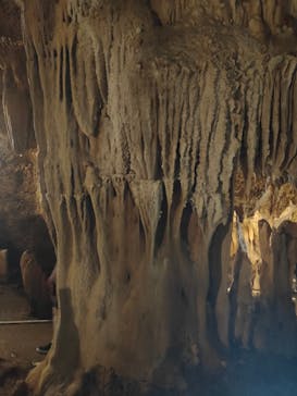 石垣島鍾乳洞に投稿された画像（2020/3/21）