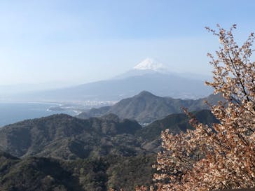 伊豆パノラマパークに投稿された画像（2020/3/21）