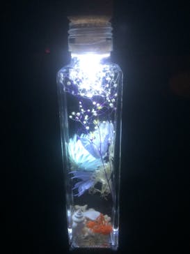 ずこうしつ〜sugamo〜に投稿された画像（2020/3/21）