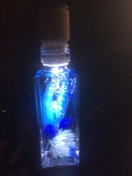 ずこうしつ〜sugamo〜に投稿された画像（2020/3/21）