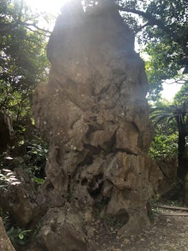 アスムイハイクスに投稿された画像（2020/3/21）