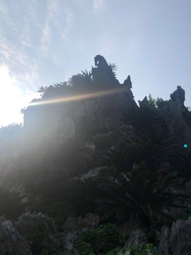 アスムイハイクスに投稿された画像（2020/3/21）