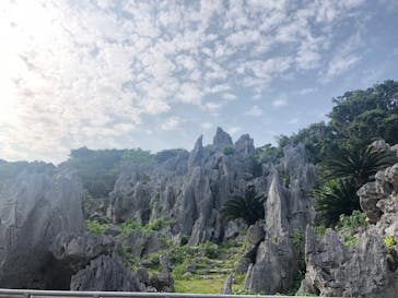 アスムイハイクスに投稿された画像（2020/3/21）