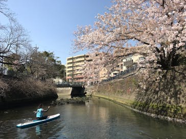 水辺荘に投稿された画像（2020/3/21）