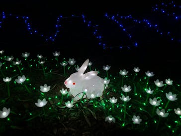 つま恋リゾート 彩の郷に投稿された画像（2020/3/22）