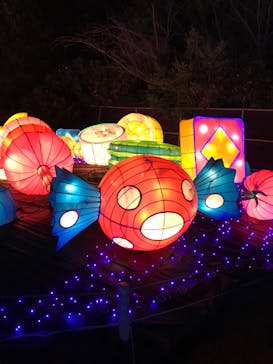 伊豆ぐらんぱる公園に投稿された画像（2020/3/22）