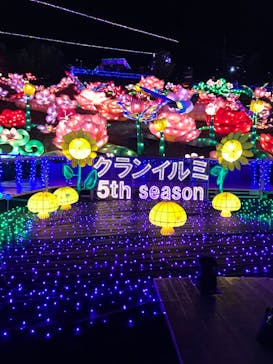 伊豆ぐらんぱる公園に投稿された画像（2020/3/22）