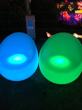 伊豆ぐらんぱる公園に投稿された画像（2020/3/22）