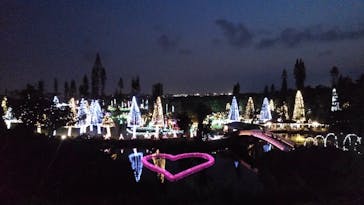 美らヤシパークオキナワ・東南植物楽園に投稿された画像（2020/3/22）