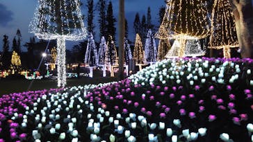 美らヤシパークオキナワ・東南植物楽園に投稿された画像（2020/3/22）