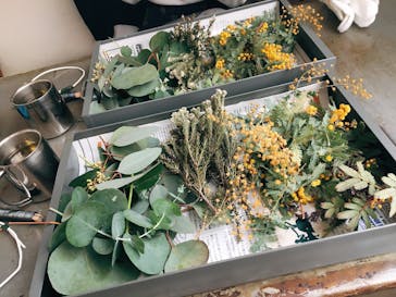 アトリエgreen（グリーン）に投稿された画像（2020/3/22）