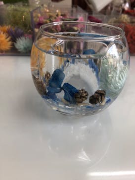 ずこうしつ〜sugamo〜に投稿された画像（2020/3/22）