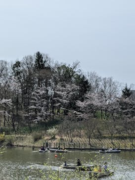 ふなばしアンデルセン公園に投稿された画像（2020/3/22）