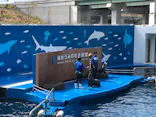 仙台うみの杜水族館に投稿された画像（2020/3/22）