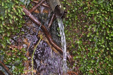 Yamakara屋久島に投稿された画像（2020/3/22）