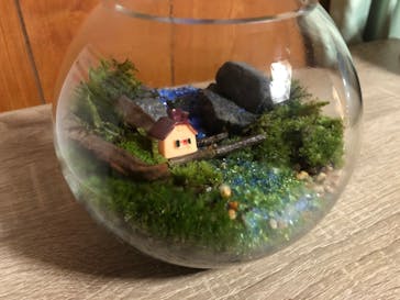 カルチャースクールいろはに投稿された画像（2020/3/22）