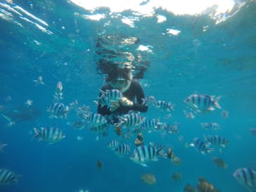 武藤潜水に投稿された画像（2020/3/23）