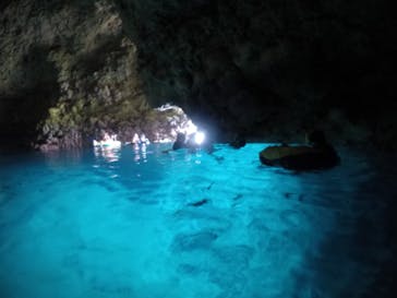 武藤潜水に投稿された画像（2020/3/23）