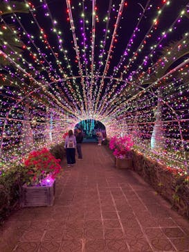 美らヤシパークオキナワ・東南植物楽園に投稿された画像（2020/3/23）