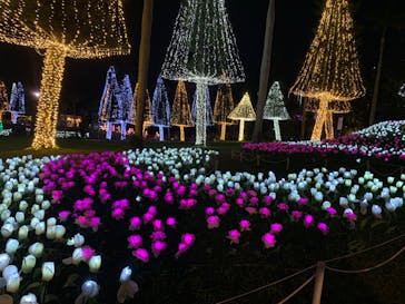 美らヤシパークオキナワ・東南植物楽園に投稿された画像（2020/3/23）