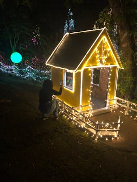 美らヤシパークオキナワ・東南植物楽園に投稿された画像（2020/3/23）