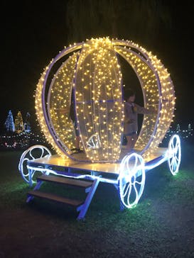 美らヤシパークオキナワ・東南植物楽園に投稿された画像（2020/3/23）