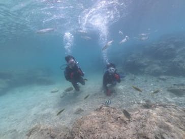 DIVING-SHOP SUNSに投稿された画像（2020/3/23）