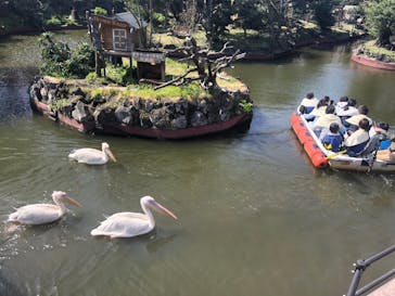 伊豆シャボテン動物公園に投稿された画像（2020/3/24）