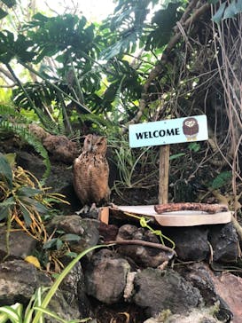 伊豆シャボテン動物公園に投稿された画像（2020/3/24）