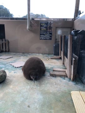 下田海中水族館に投稿された画像（2020/3/24）