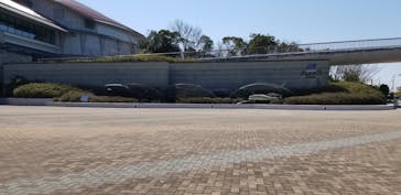 島根県立 しまね海洋館に投稿された画像（2020/3/24）