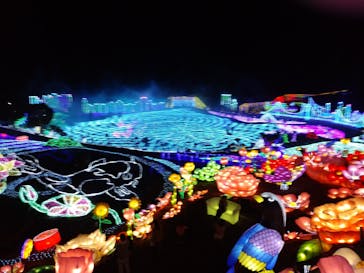 伊豆ぐらんぱる公園に投稿された画像（2020/3/24）