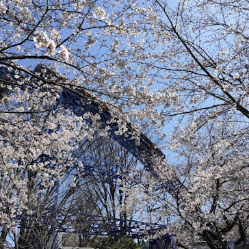 としまえんに投稿された画像（2020/3/24）