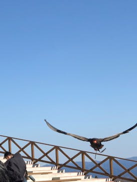 那須どうぶつ王国に投稿された画像（2020/3/25）