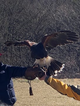 那須どうぶつ王国に投稿された画像（2020/3/25）