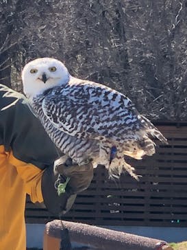 那須どうぶつ王国に投稿された画像（2020/3/25）