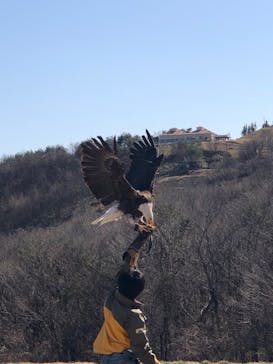 那須どうぶつ王国に投稿された画像（2020/3/25）