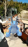 しろとり動物園に投稿された画像（2020/3/25）